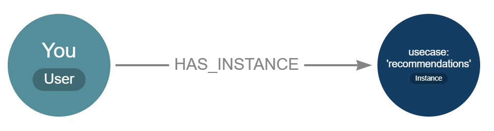 Two nodes: a User node labelled You, joined by a HAS_INSTANCE relationship to an Instance node whose usecase is 'recommendations'